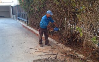 Landscaper in Santa barbara-sbevolutionlandscape