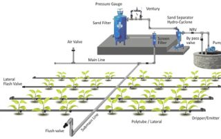 drip-irrigation