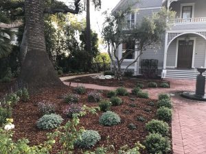 Landscape Maintenance Santa Barbara