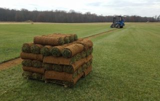 Installing New Sod - What You Need to Know