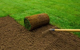 Rolling Out a New Look - How to Prepare to Lay Sod