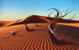 The Hot Trend of Arid Landscapes