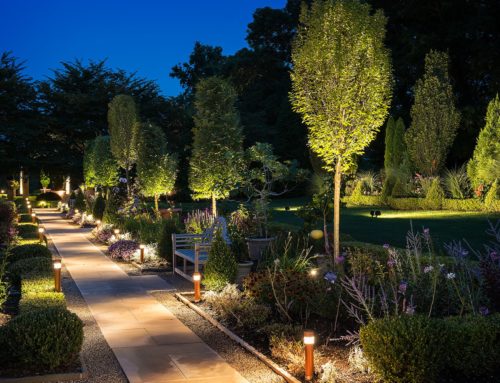 Illuminate Your Outdoor Space with Landscape Lighting