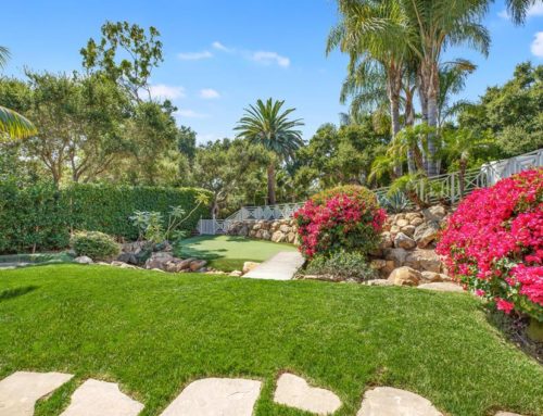 Professional Lawn Care Services in Santa Barbara