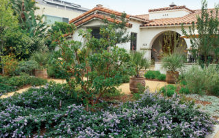 front-yard-landscaping-ideas