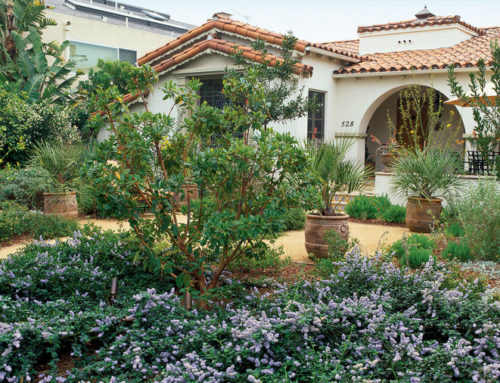 Affordable Front Yard Landscaping Ideas on a Budget