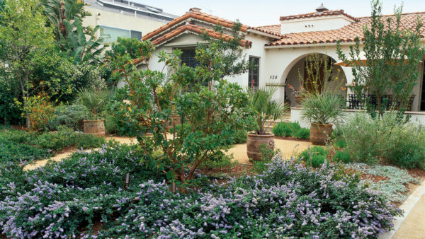 front-yard-landscaping-ideas 