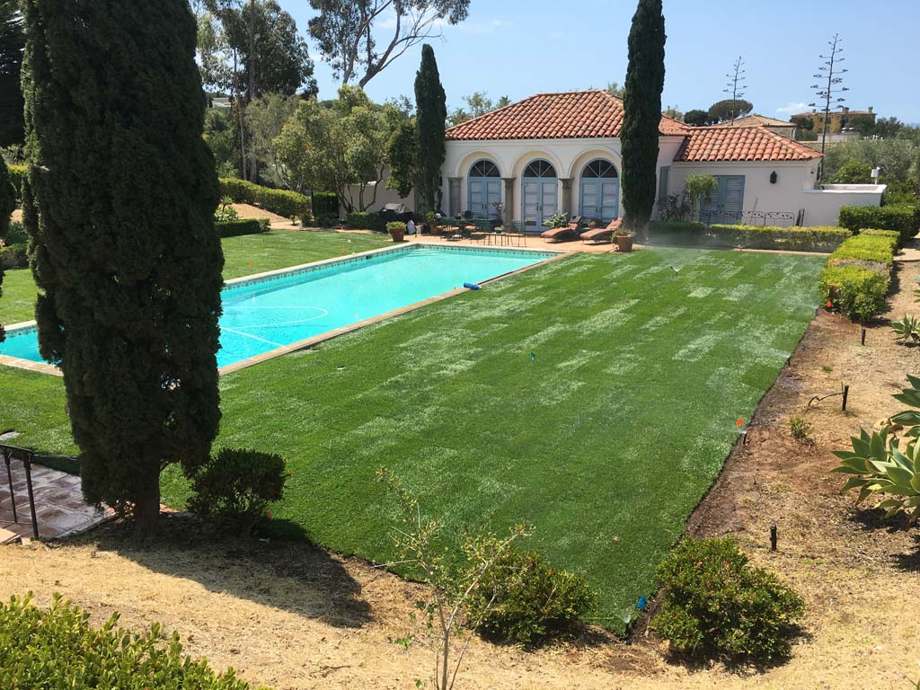 organic-lawn-care-near-me